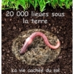 20 000 lieues sous la terre