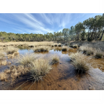 Médoc, contre sables et marais: vivre, aménager, protéger une nature hostile, une perspective géo-historique