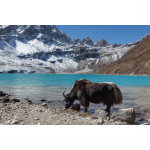 Le SIKKIM : populations, paysages et développement du tourisme